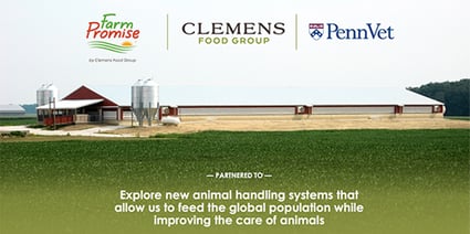 FarmPromise_Sustainability-and-Animal-Welfare_banner